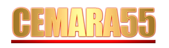 Logo Cemara55