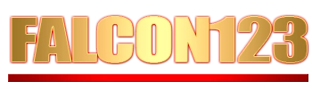 Logo Falcon123