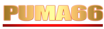 Logo Puma66